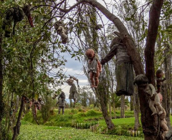 The Island of the Dolls